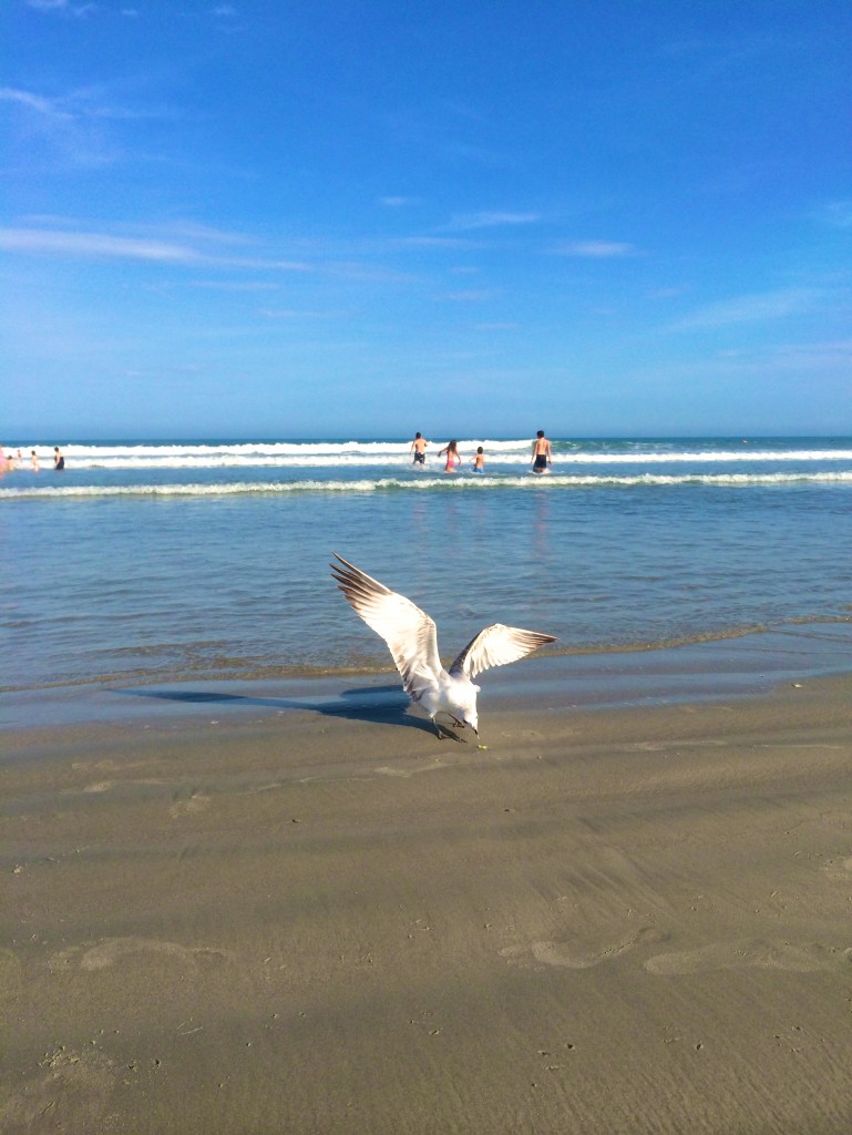 Cocoa Beach