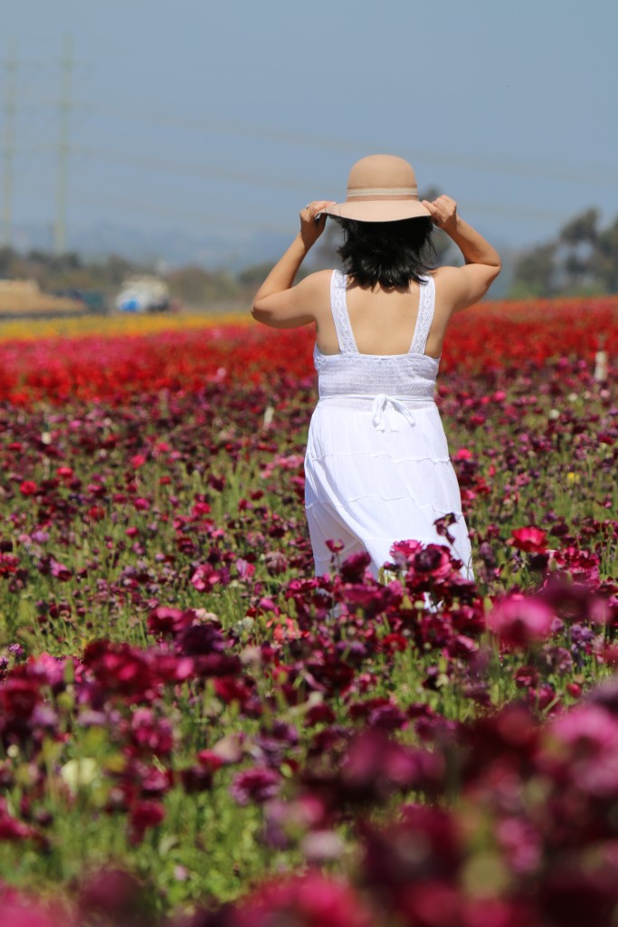 In flower paradise