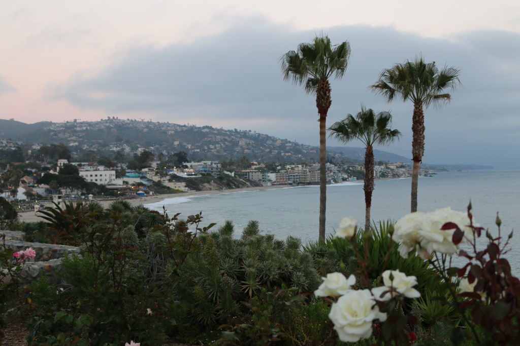 The view in Laguna Beach