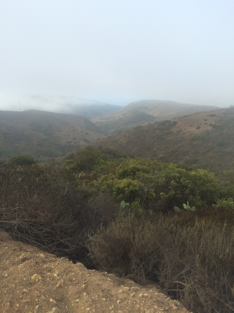 An early hike in OC