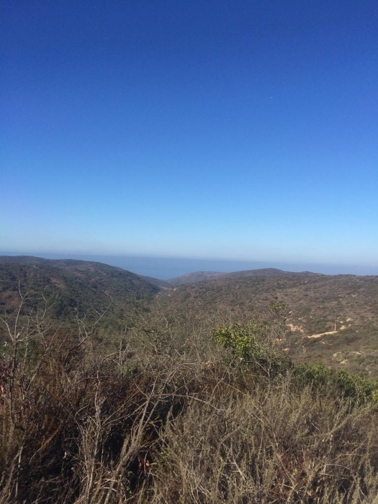 The view from the trail