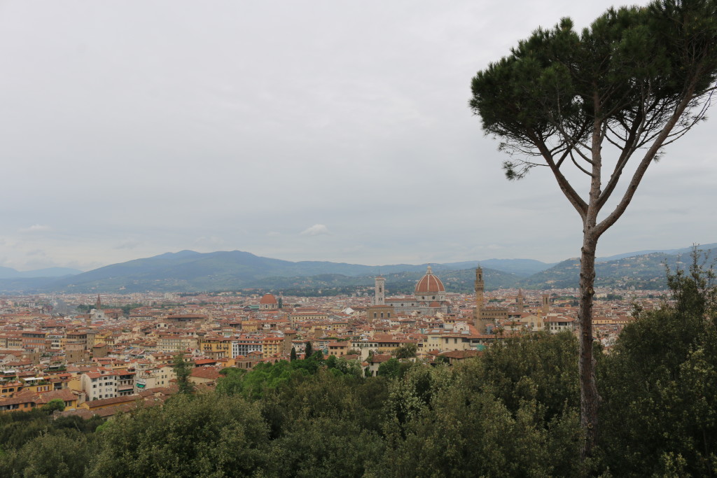 The view of Florence from Fort Belvedere