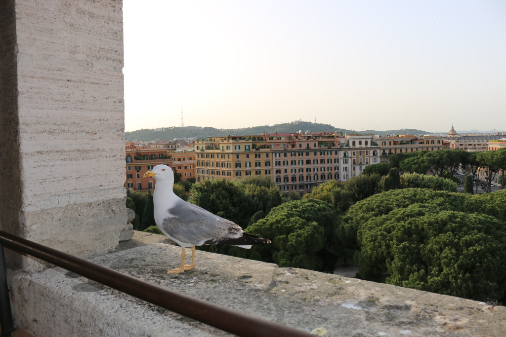 Panoramic view of Rome