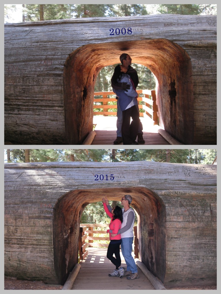 Back to Sequoia - then and now