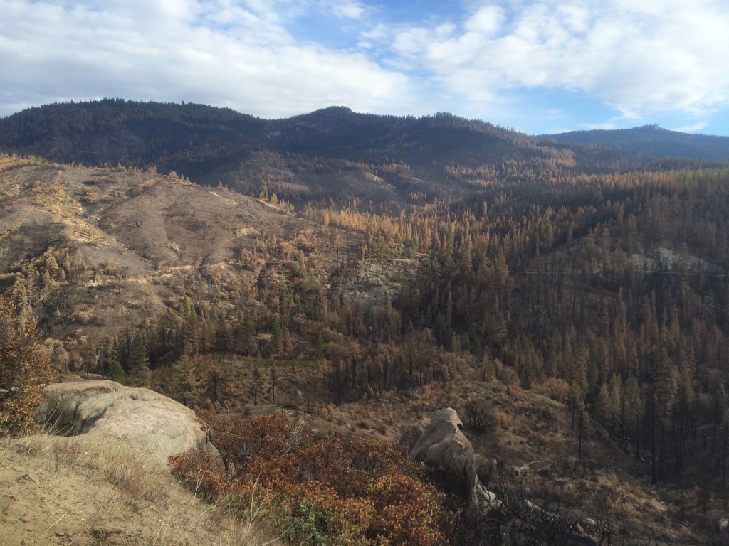 Burnt area in Kings Canyon