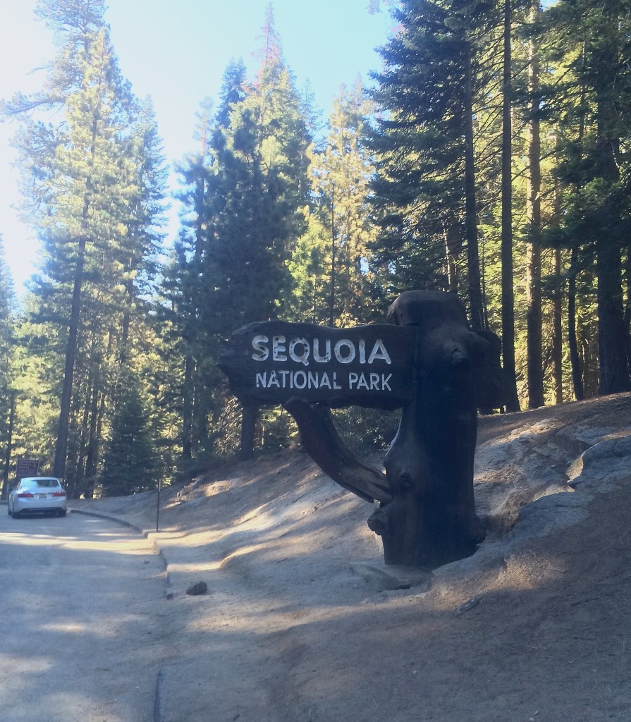 Sequoia National Park