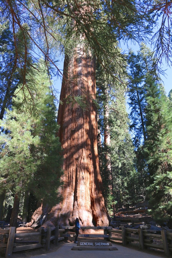 General Sherman