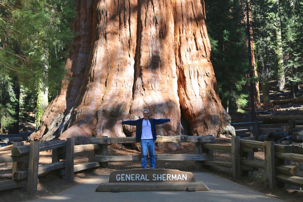 General Sherman Tree